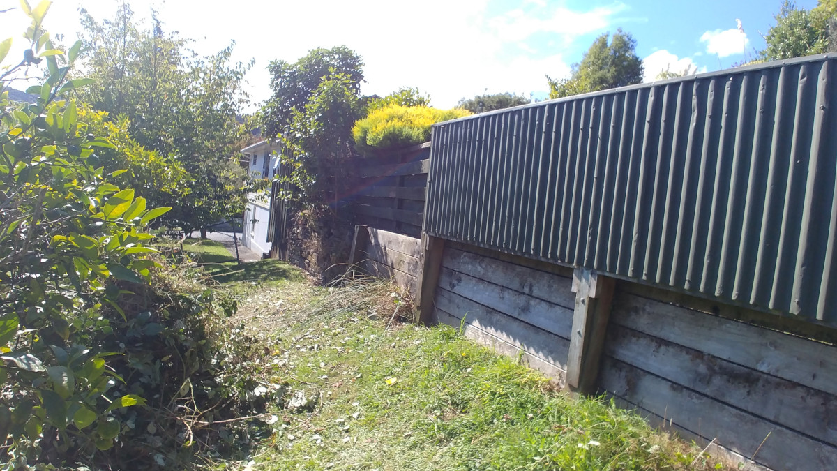 Photo: A blackberry free retaining wall and a pile of blackberry.