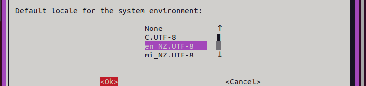 Screenshot: We'll leave en_nz as the default.